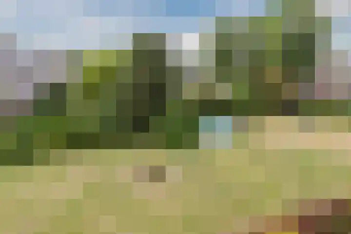 Hoorneslaan 129 Katwijk thumbnail 38