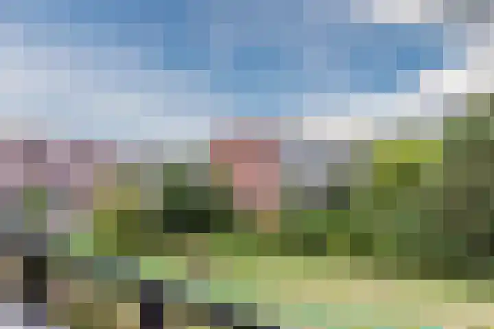 Hoorneslaan 129 Katwijk thumbnail 4