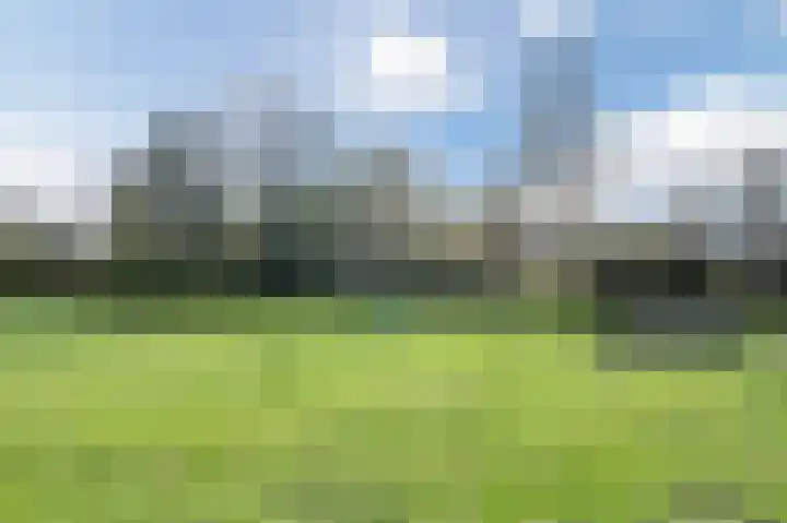 Hoorneslaan 145 Katwijk thumbnail 32