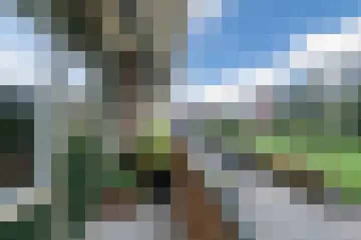 Hoorneslaan 145 Katwijk thumbnail 4