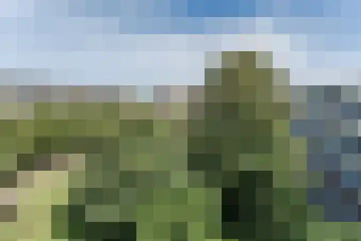 Hoorneslaan 20 Katwijk thumbnail 34