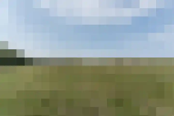 Hoorneslaan 20 Katwijk thumbnail 40