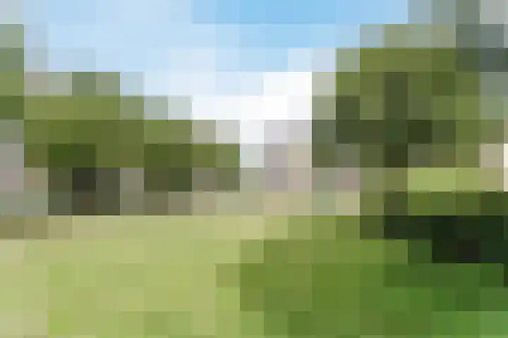 Hoorneslaan 20 Katwijk thumbnail 41
