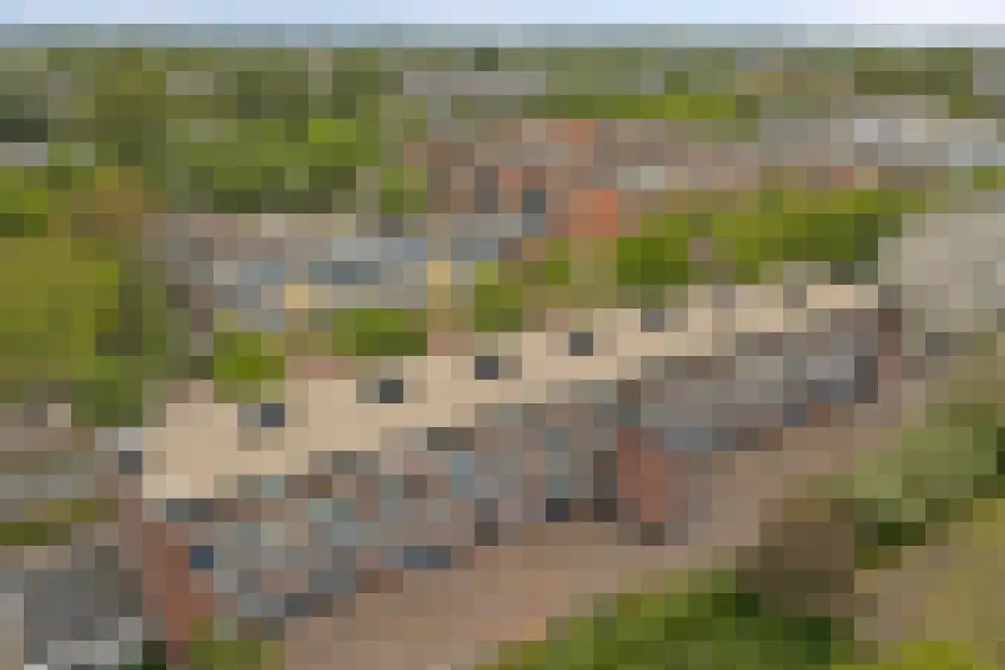 Hoorneslaan 255 Katwijk thumbnail 35