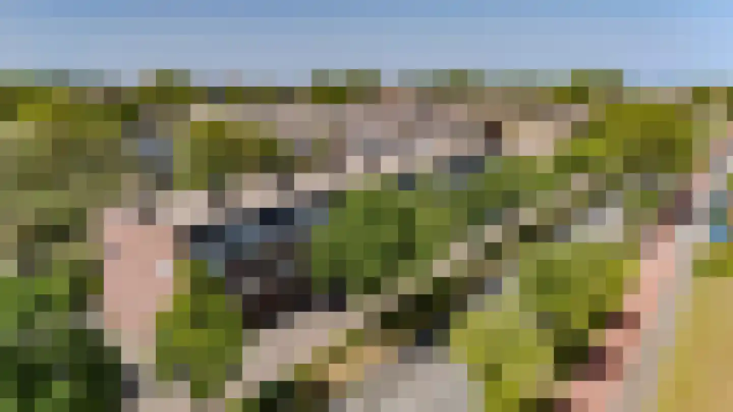 Hoorneslaan 267 Katwijk thumbnail 8