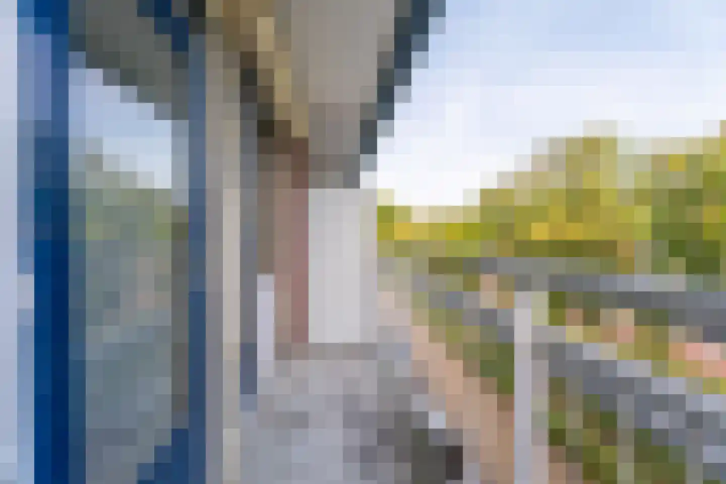 Hoorneslaan 277 Katwijk thumbnail 23