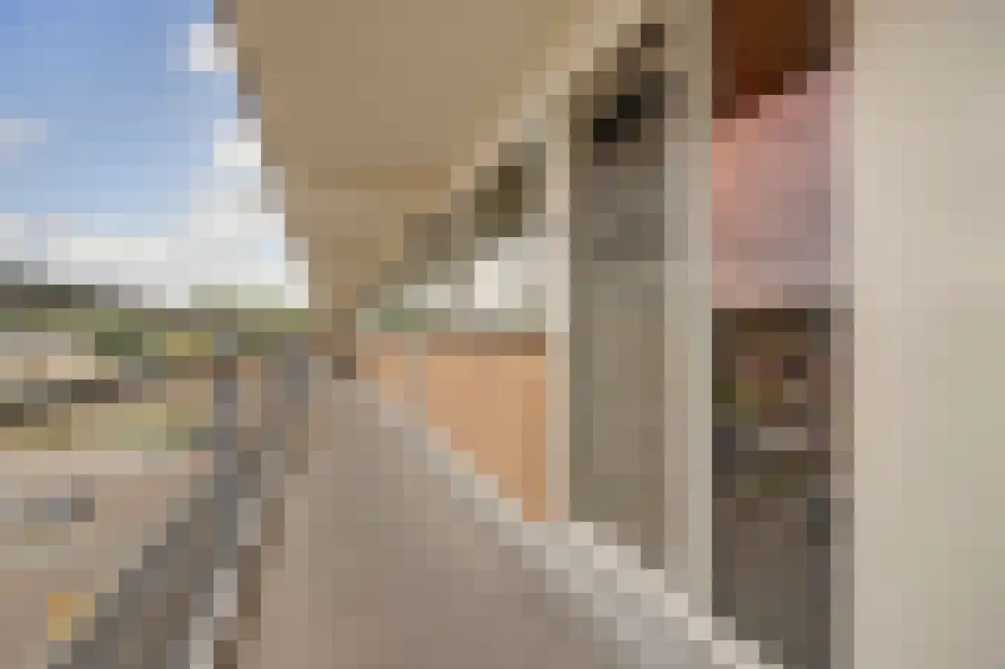 Hoorneslaan 377 Katwijk thumbnail 12