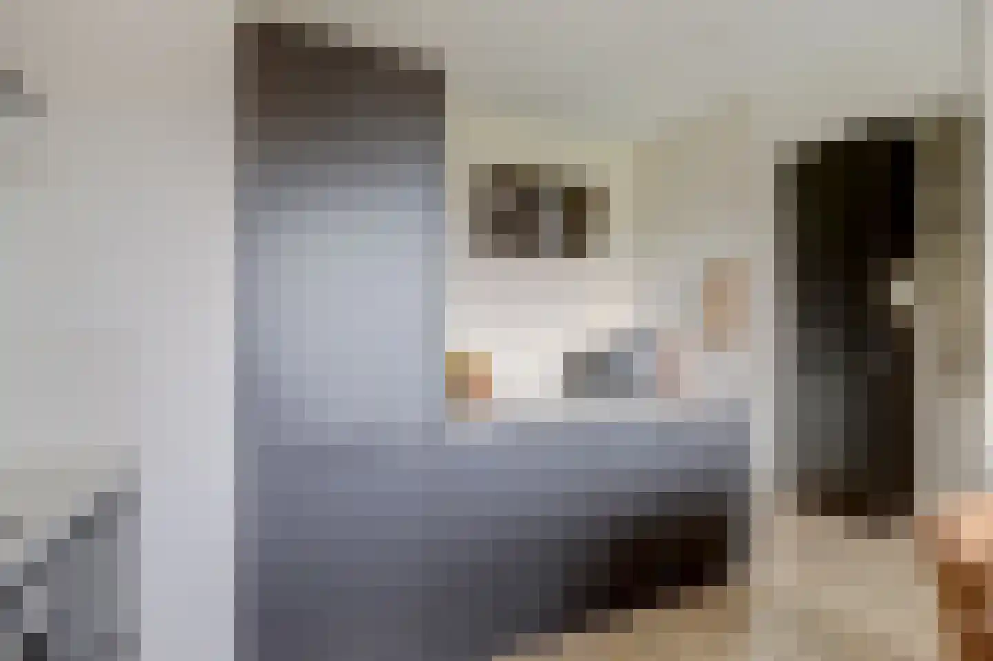 Hoorneslaan 377 Katwijk thumbnail 31