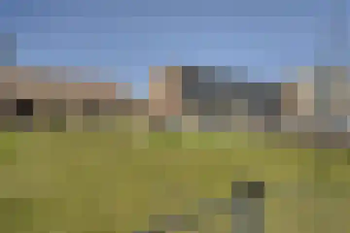 Hoorneslaan 379 Katwijk thumbnail 30
