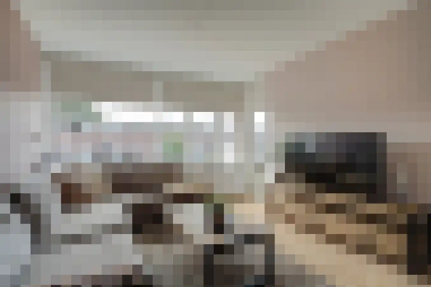 Hoorneslaan 58 Katwijk thumbnail 18