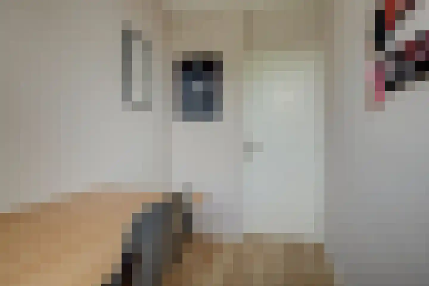Hoorneslaan 58 Katwijk thumbnail 33