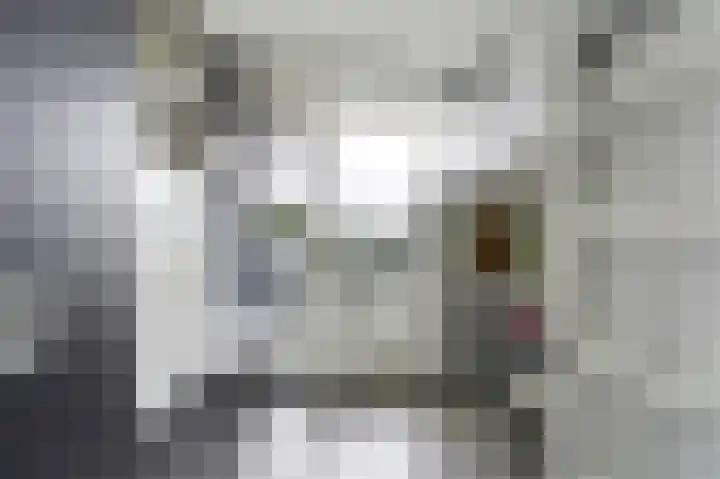 Hoorneslaan 6 Katwijk thumbnail 20