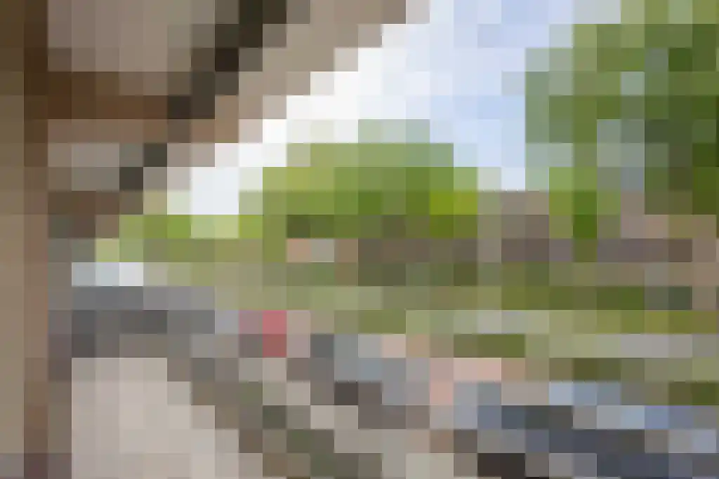 Hoorneslaan 76 Katwijk thumbnail 20