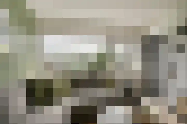 Hoorneslaan 8 Katwijk thumbnail 12