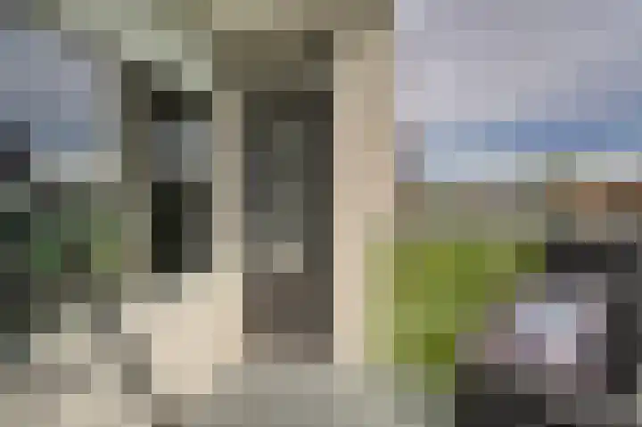Hoorneslaan 8 Katwijk thumbnail 29