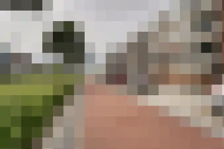 Hoorneslaan 8 Katwijk thumbnail 32