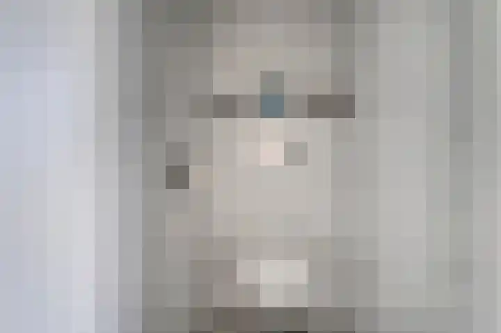 Hoorneslaan 8 Katwijk thumbnail 8