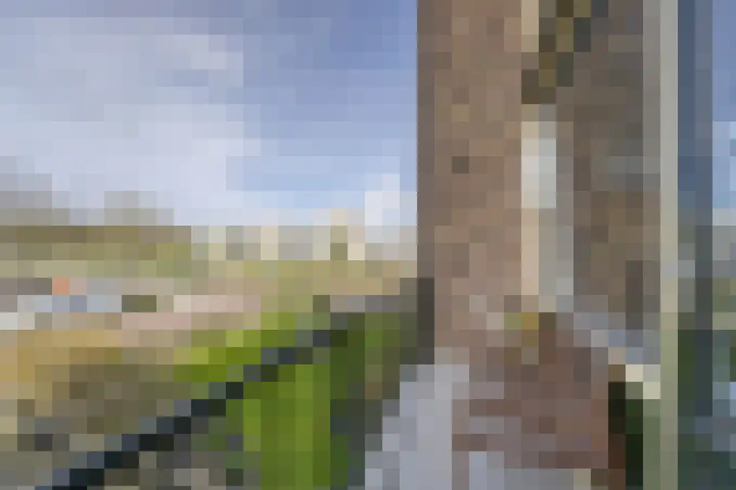 Hoorneslaan 85 Katwijk thumbnail 4