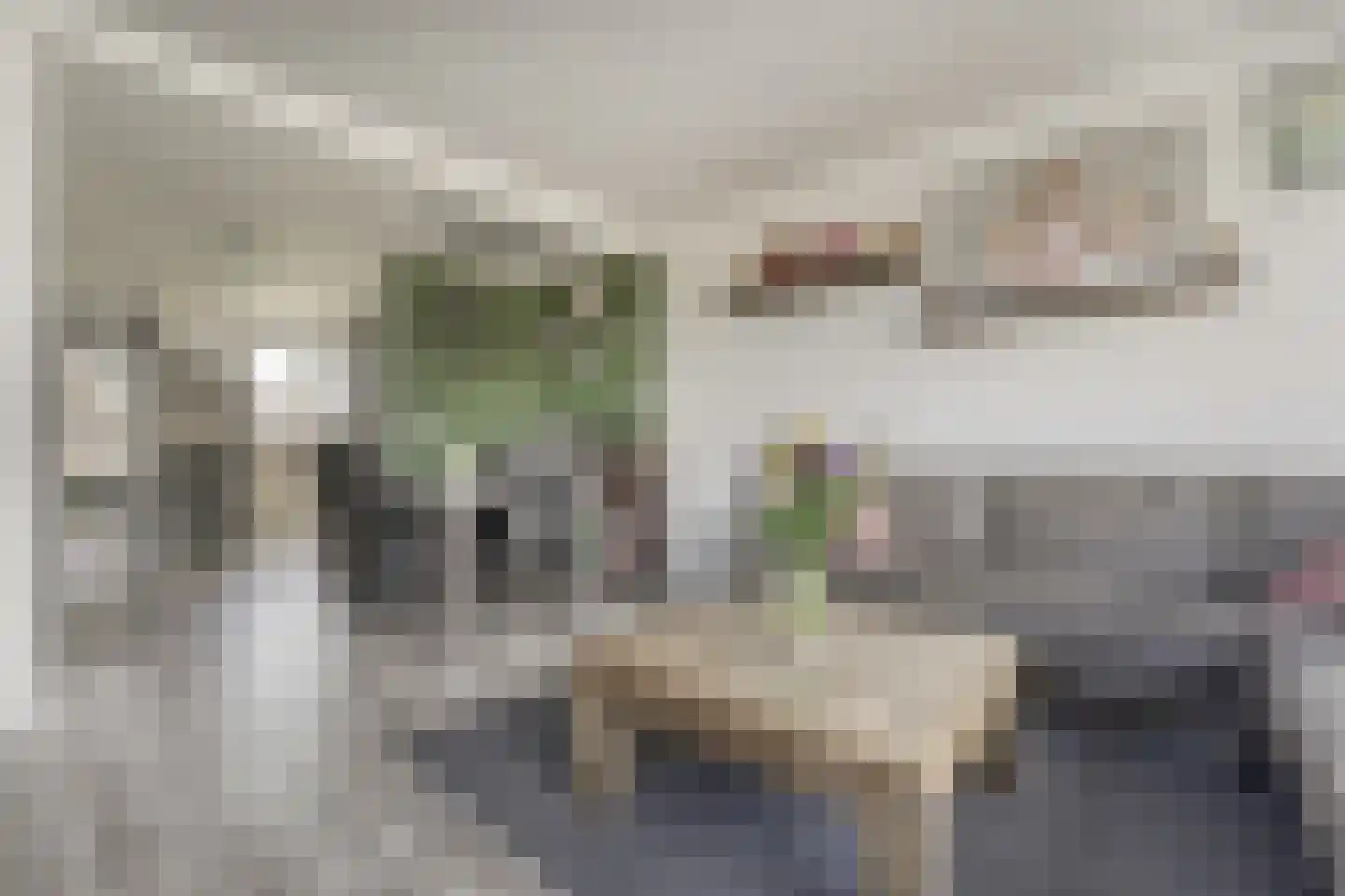 Hoorneslaan 85 Katwijk thumbnail 7