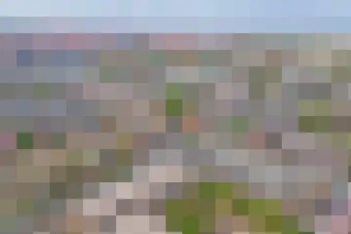 Hoorneslaan 86 Katwijk thumbnail 42