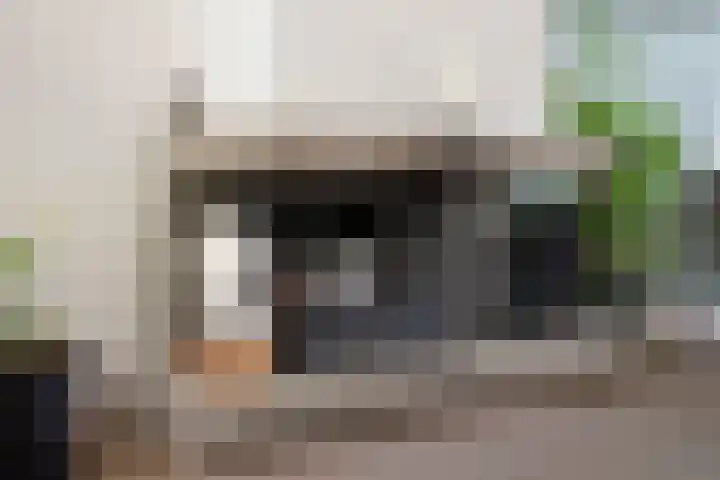 Hoornestraat 25 Arnhem thumbnail 10