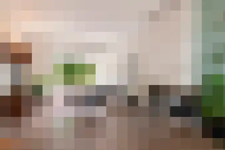 Hoornestraat 25 Arnhem thumbnail 5