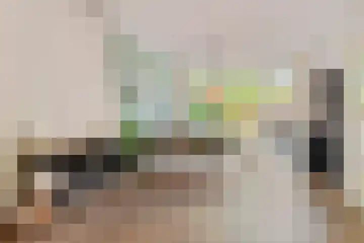 Hoornestraat 25 Arnhem thumbnail 6