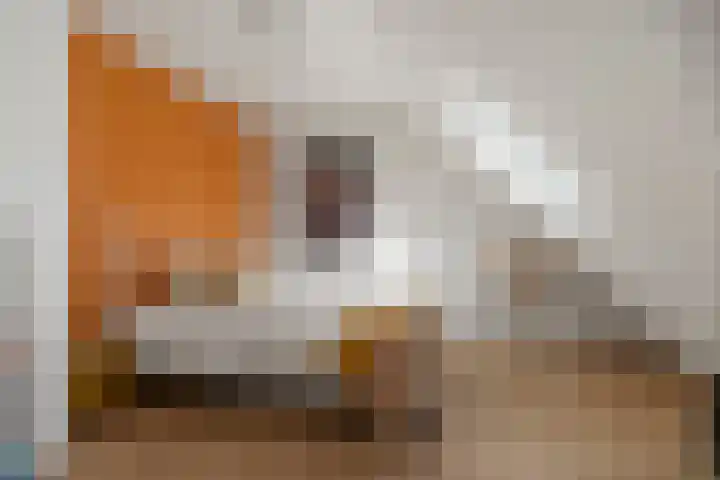 Hoornestraat 38 Arnhem thumbnail 31