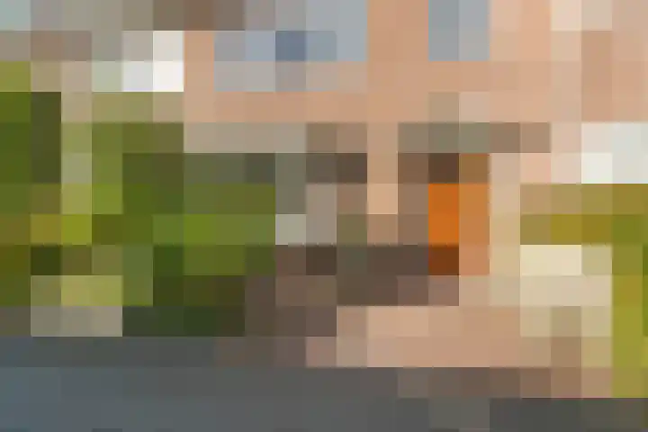 Hoornestraat 38 Arnhem thumbnail 5