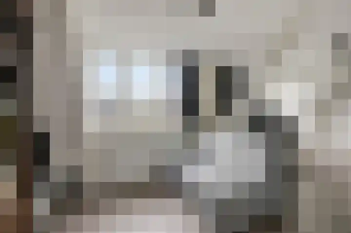 Hoornestraat 8 Arnhem thumbnail 21