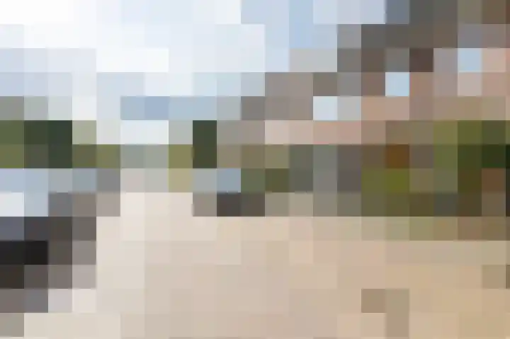 Hoornestraat 8 Arnhem thumbnail 28