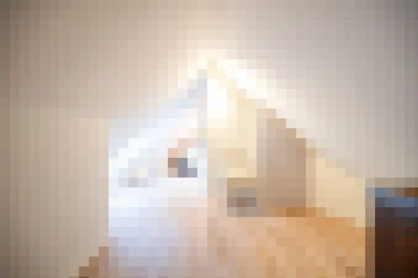 Hoorneweg 17 B 1 Putten thumbnail 10
