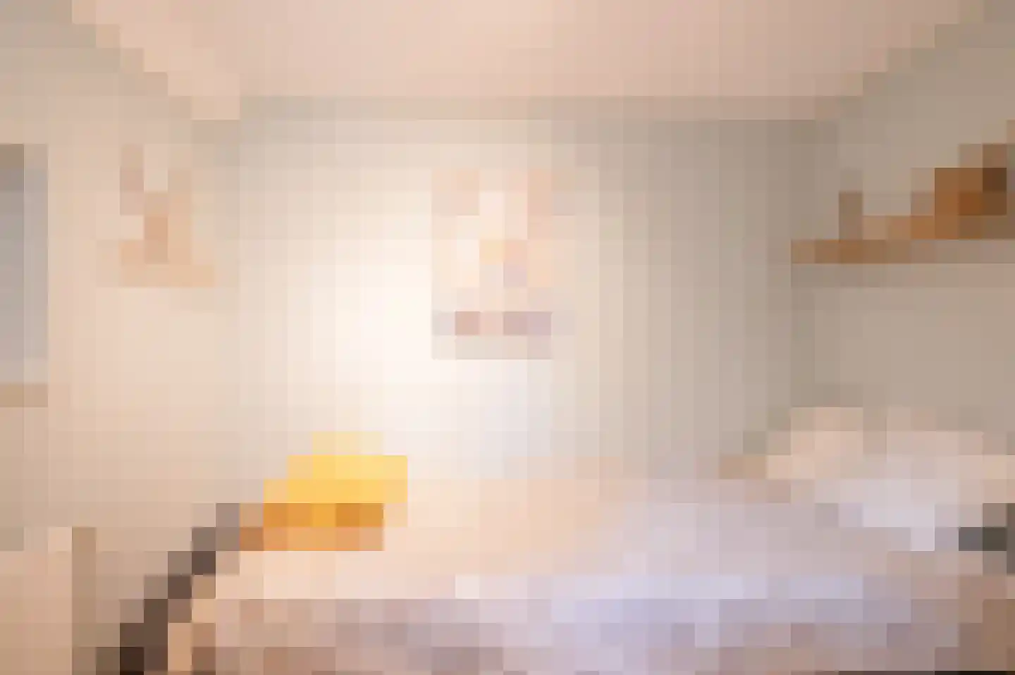 Hoorneweg 17 B 1 Putten thumbnail 17
