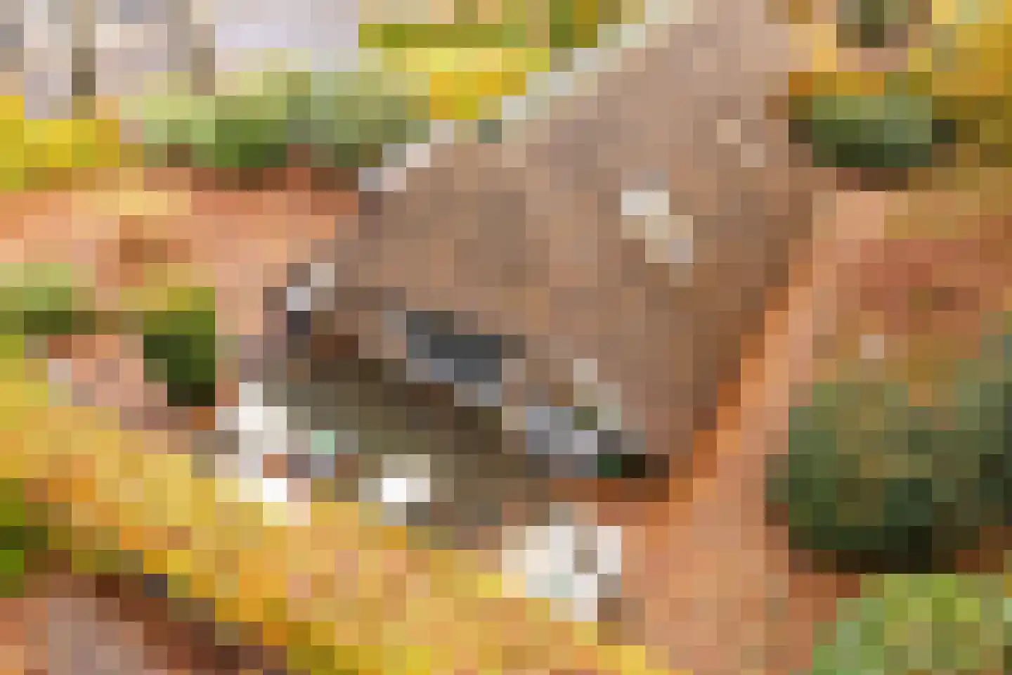Hoorneweg 17 B 1 Putten thumbnail 28