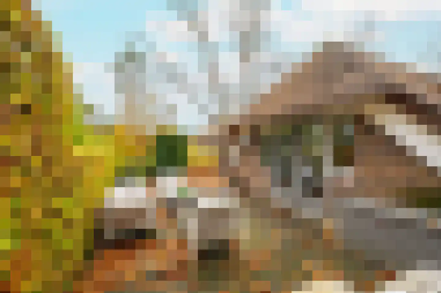 Hoorneweg 17 B 1 Putten thumbnail 29