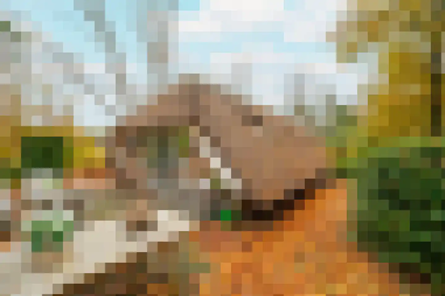 Hoorneweg 17 B 1 Putten thumbnail 30