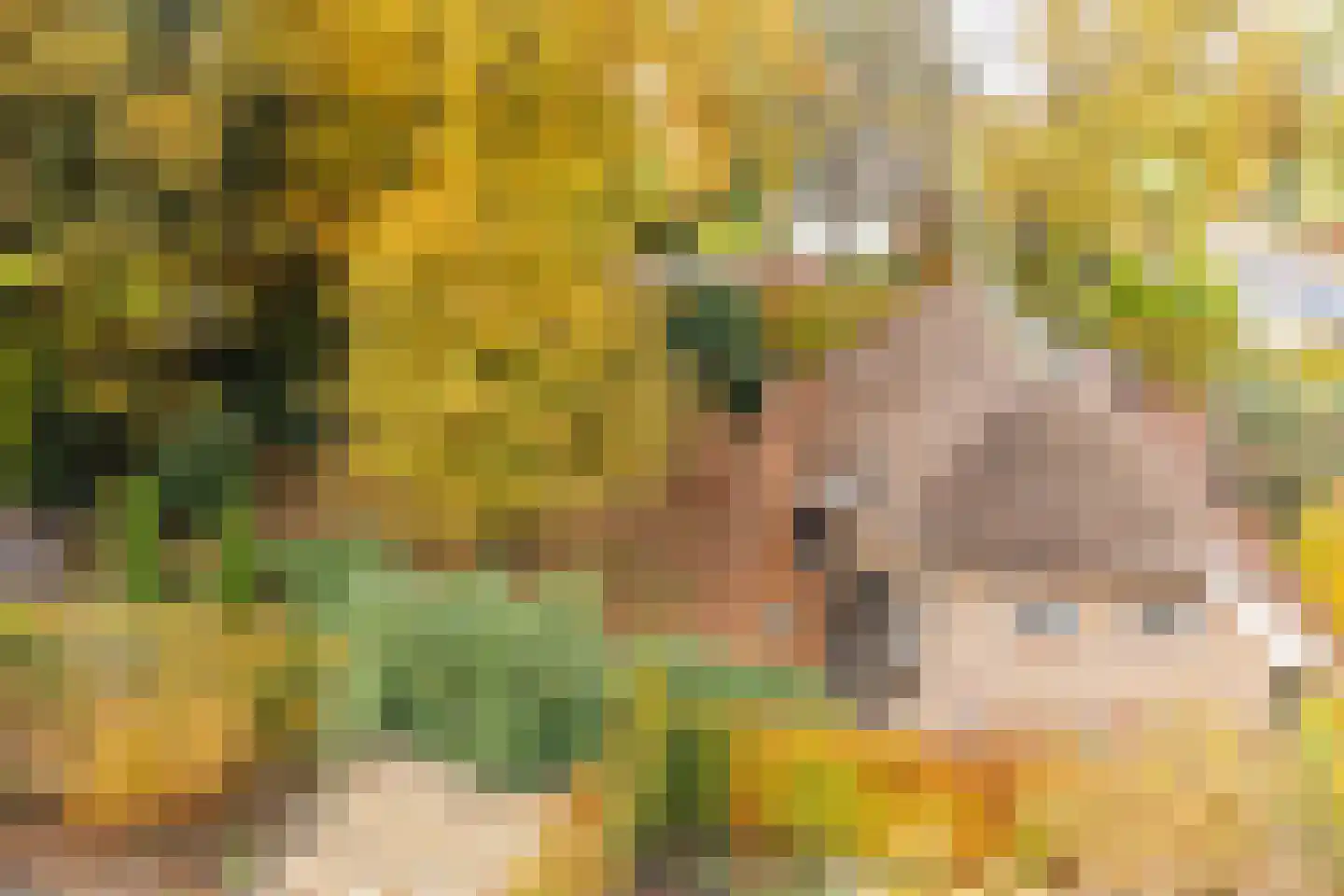 Hoorneweg 17 B 1 Putten thumbnail 32
