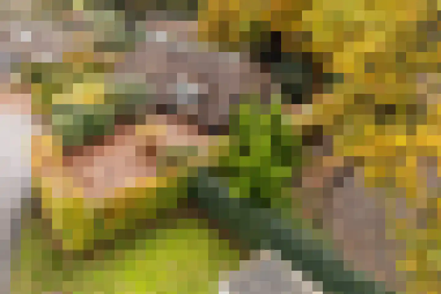 Hoorneweg 17 B 1 Putten thumbnail 33