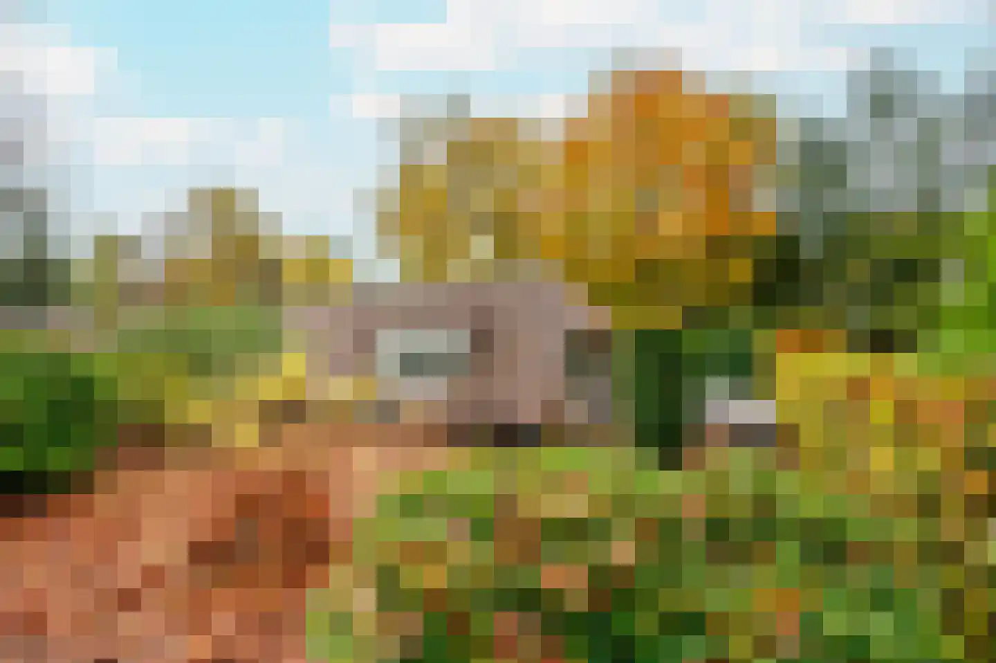 Hoorneweg 17 B 1 Putten thumbnail 4