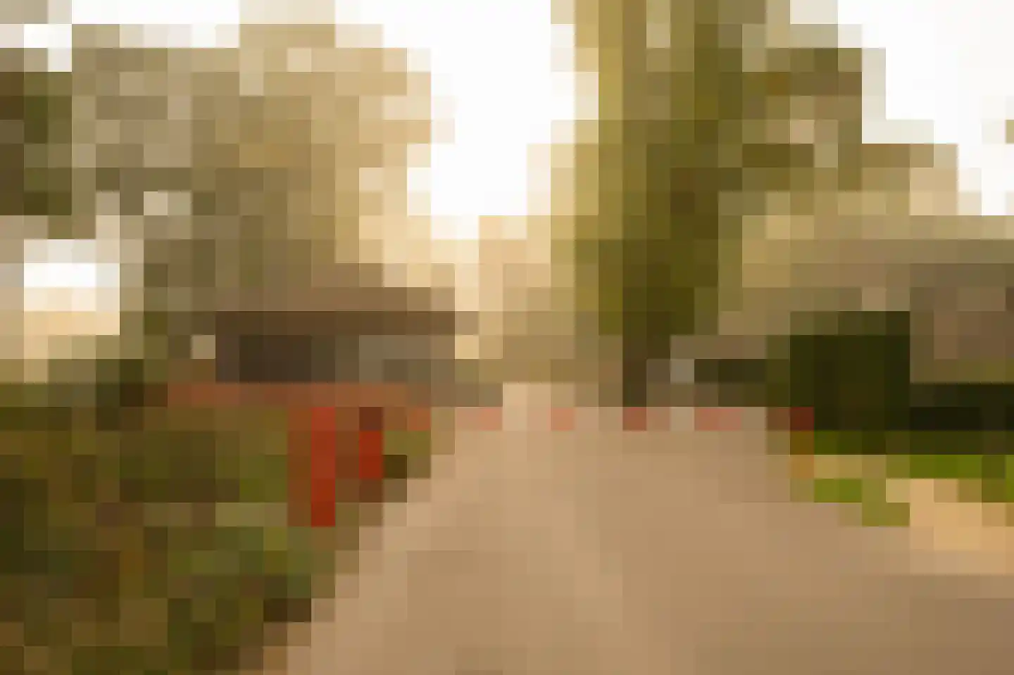 Hoorneweg 17 B 17 Putten thumbnail 10