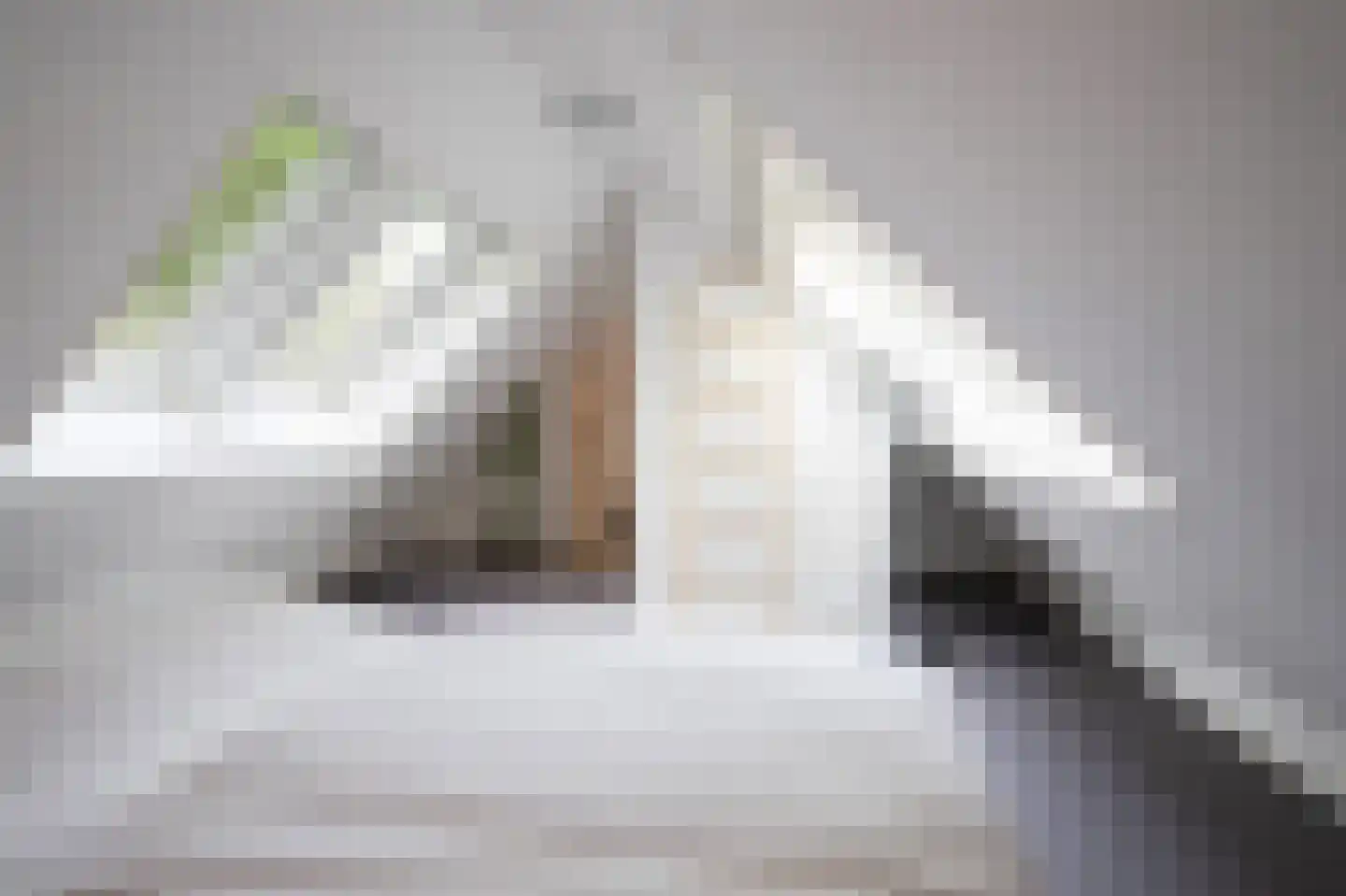 Hoorneweg 17 B 17 Putten thumbnail 24