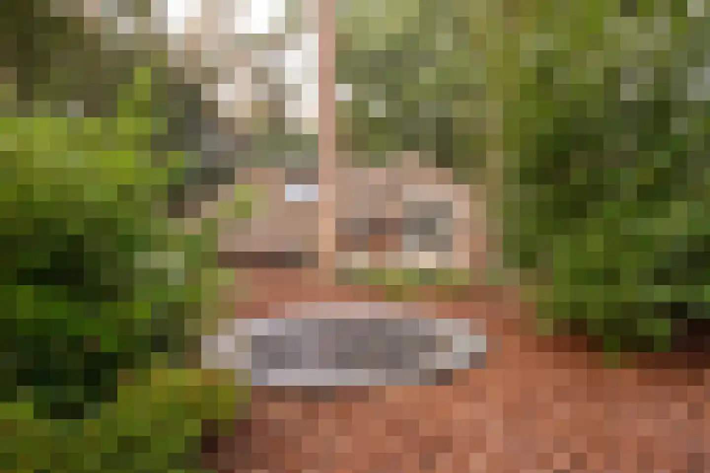 Hoorneweg 17 B 17 Putten thumbnail 25
