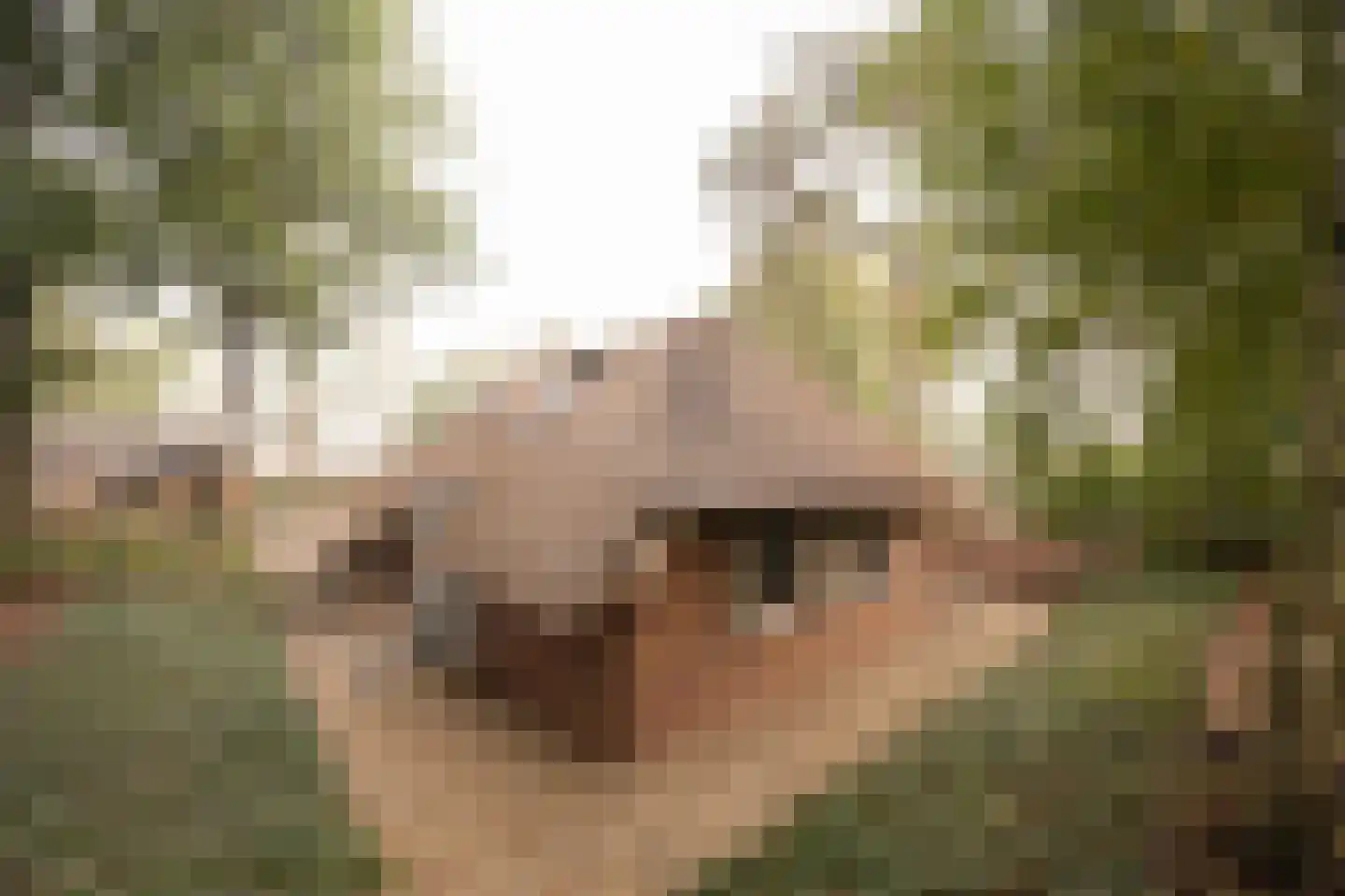 Hoorneweg 17 B 17 Putten thumbnail 26