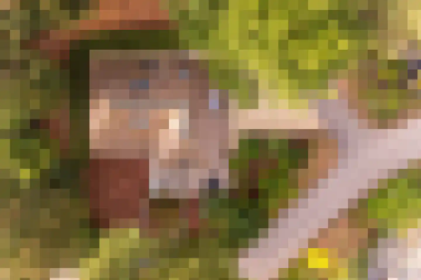 Hoorneweg 17 B 17 Putten thumbnail 28