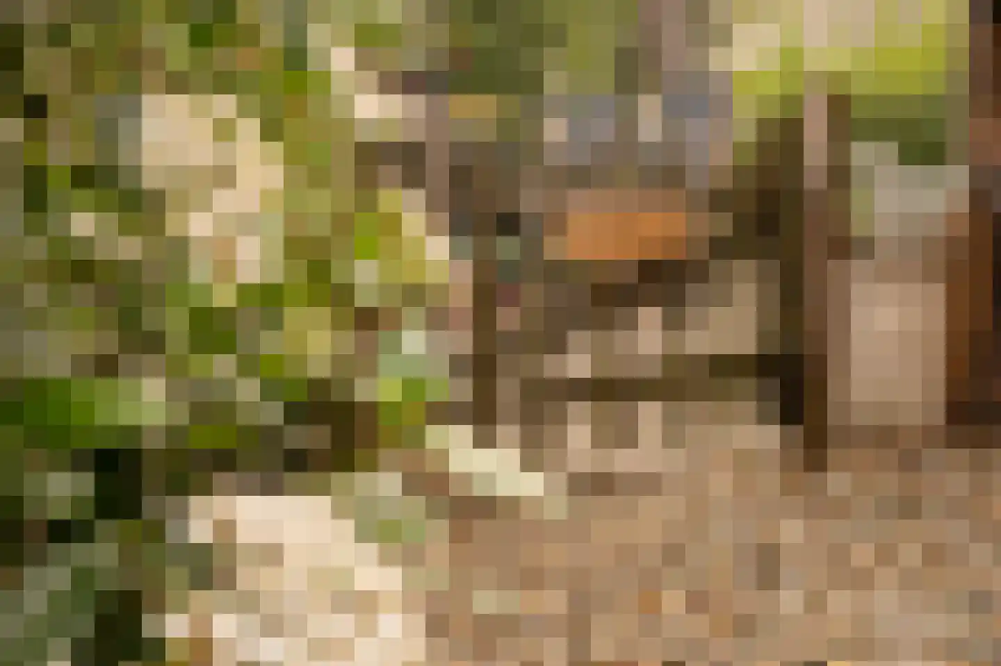 Hoorneweg 17 B 17 Putten thumbnail 6