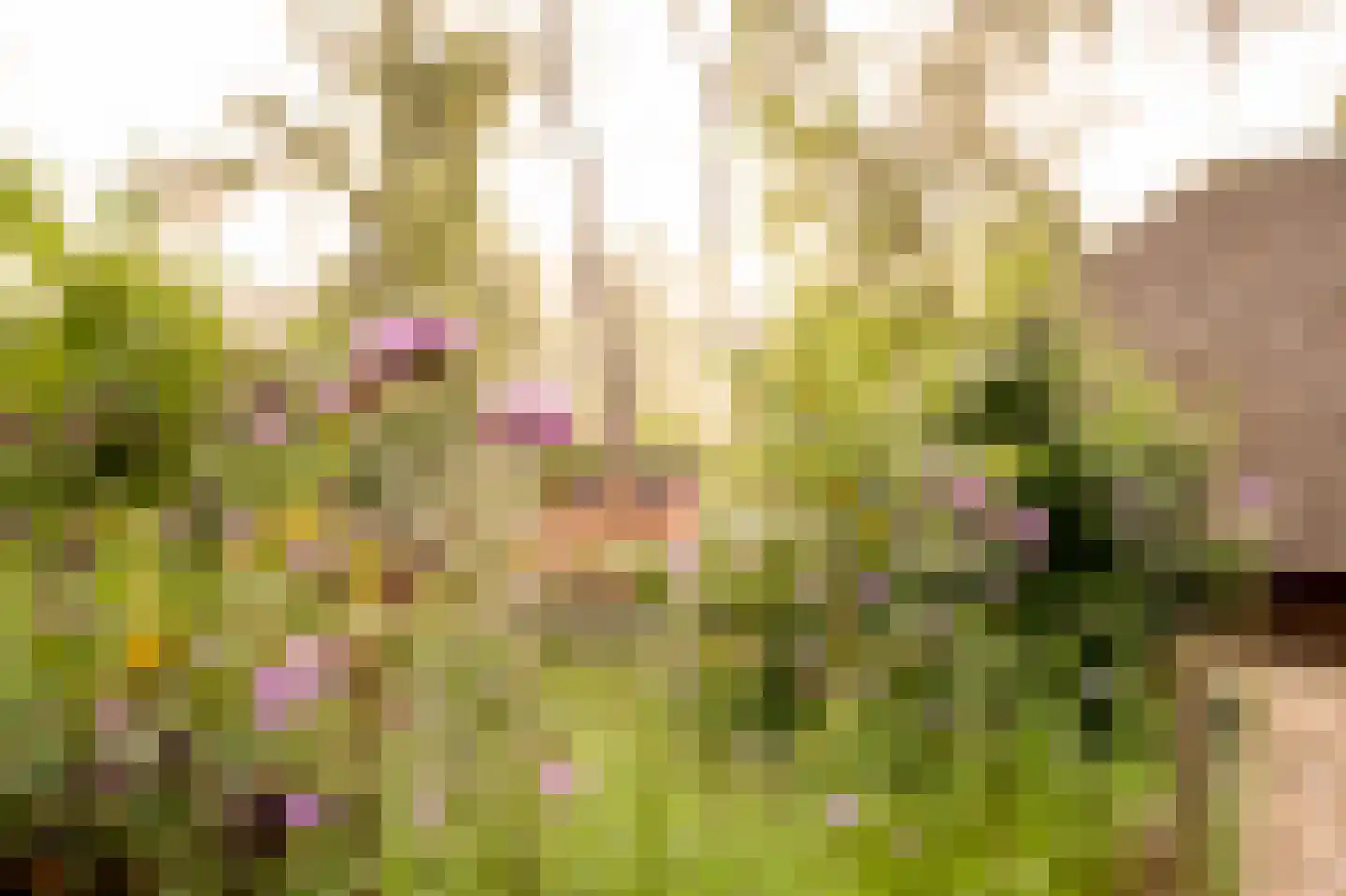 Hoorneweg 17 B 17 Putten thumbnail 8
