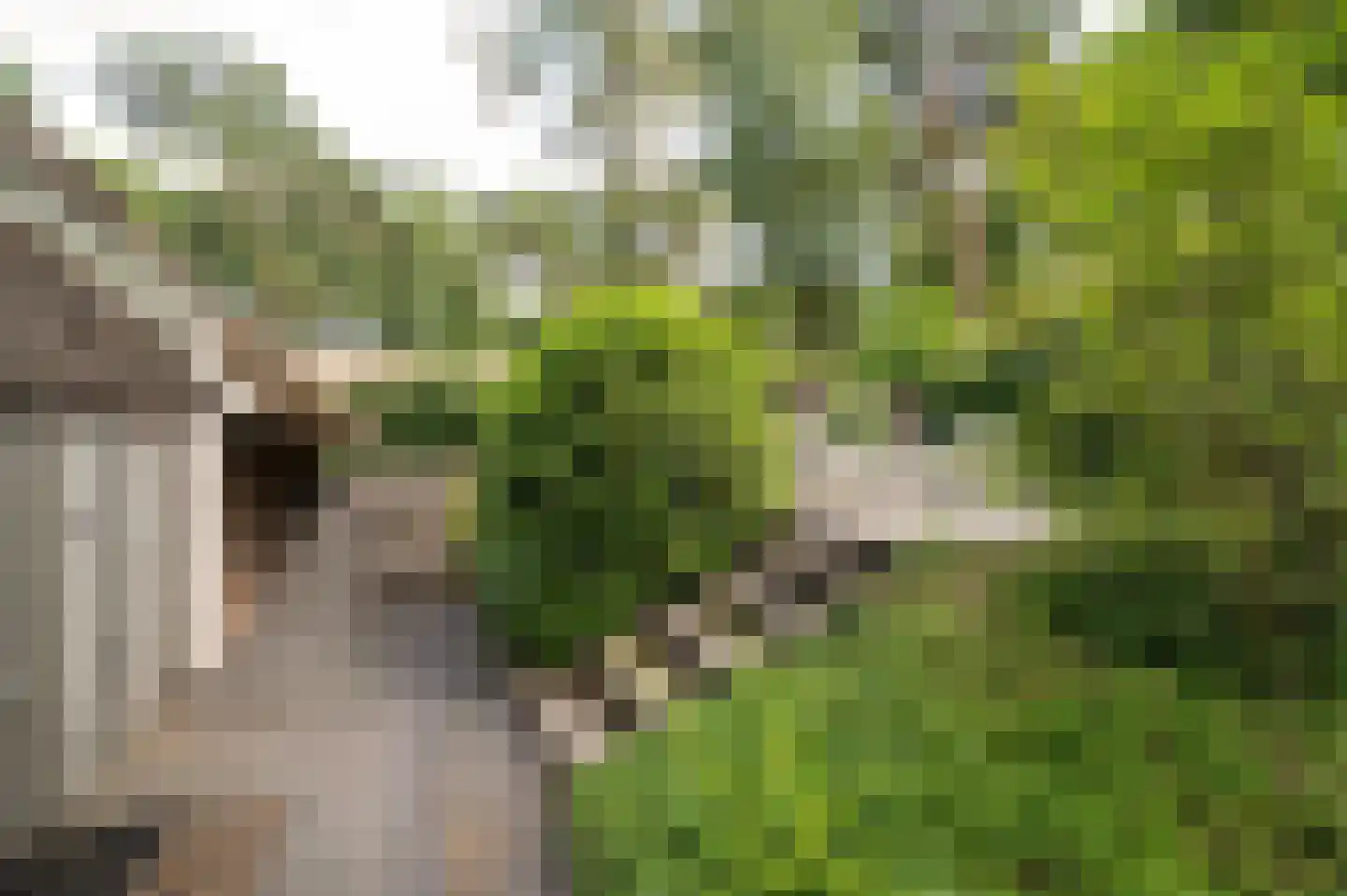 Hoorneweg 17 B 21 Putten thumbnail 25