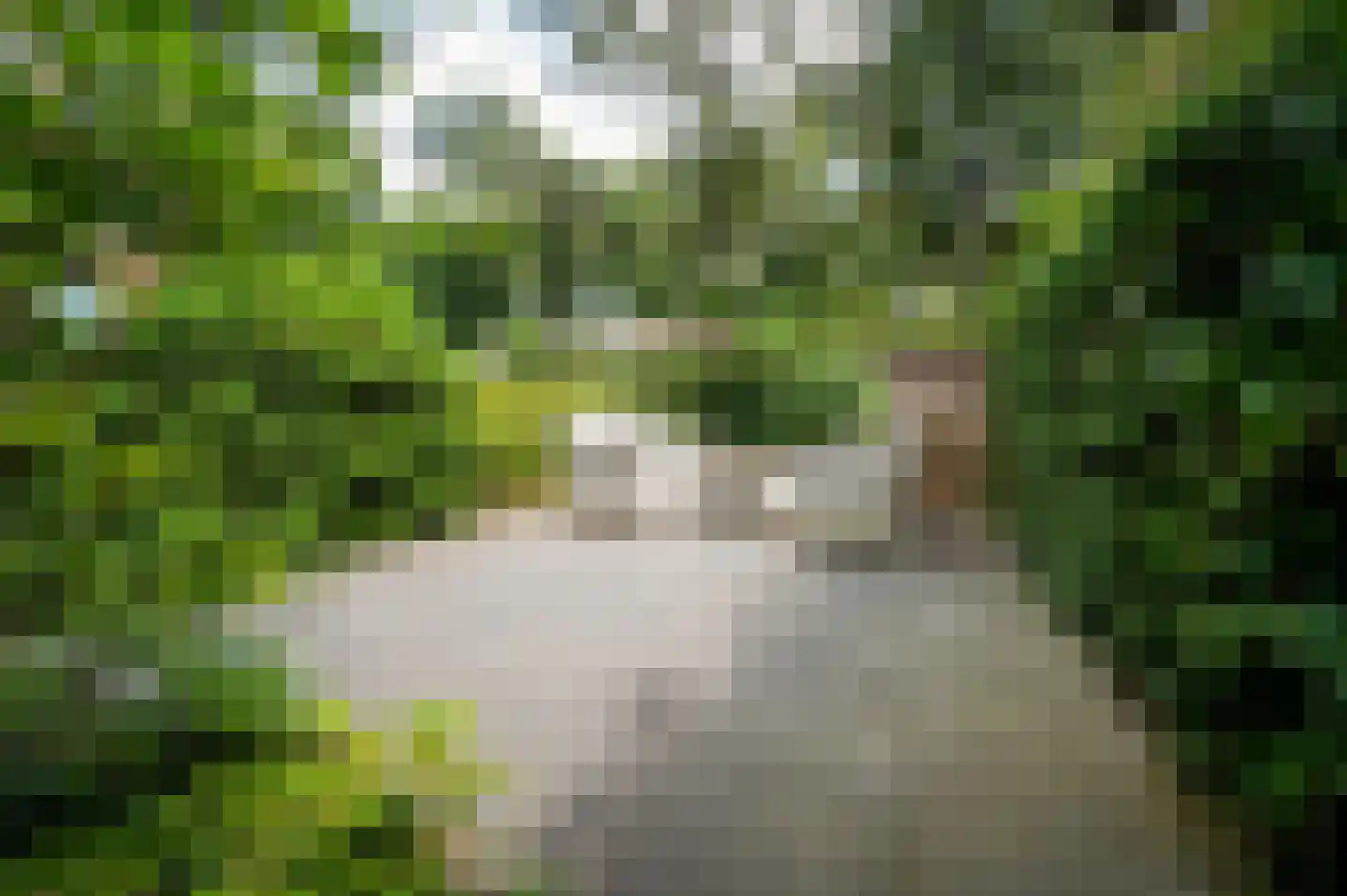 Hoorneweg 17 B 21 Putten thumbnail 29