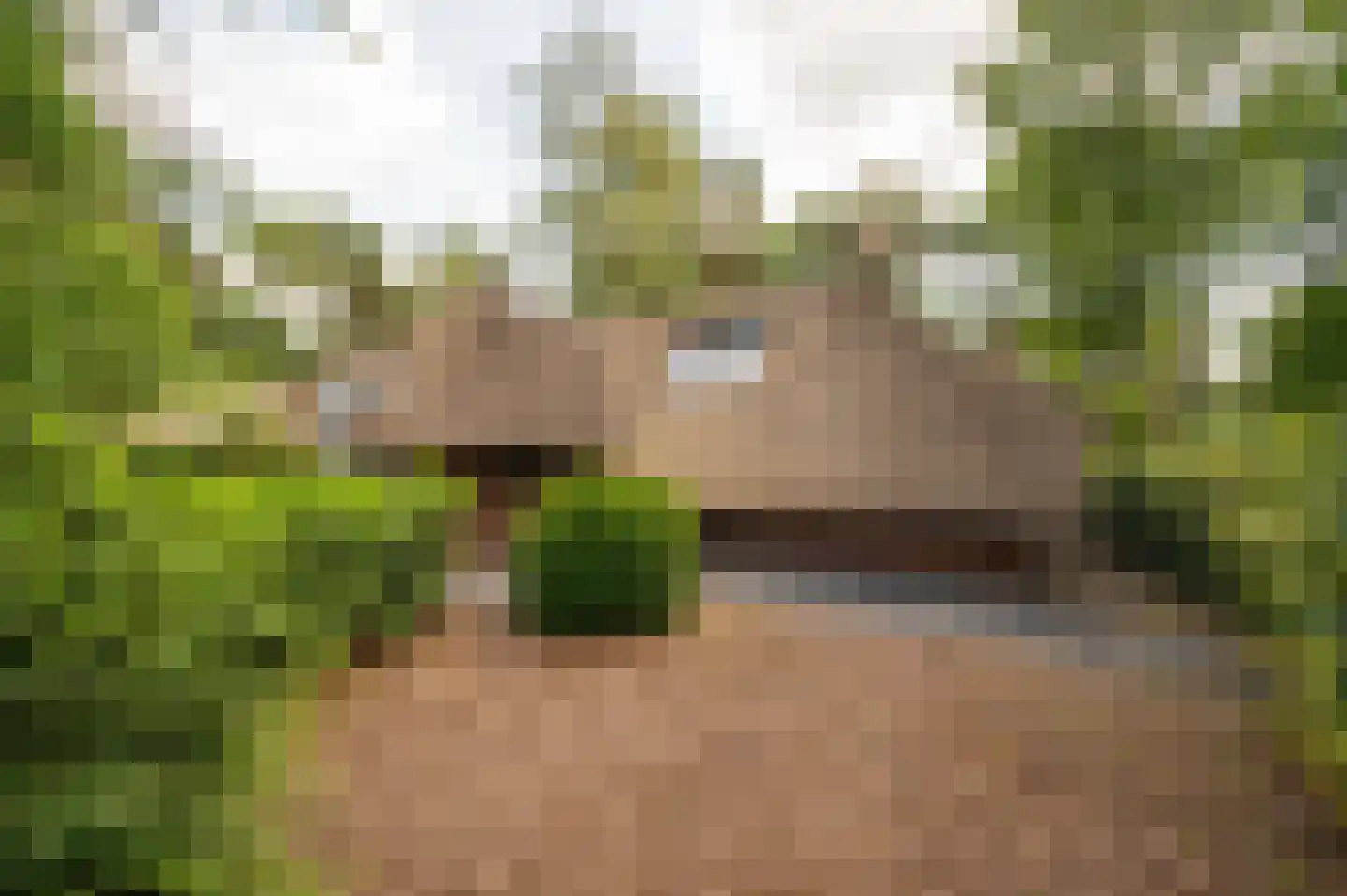 Hoorneweg 17 B 21 Putten thumbnail 30
