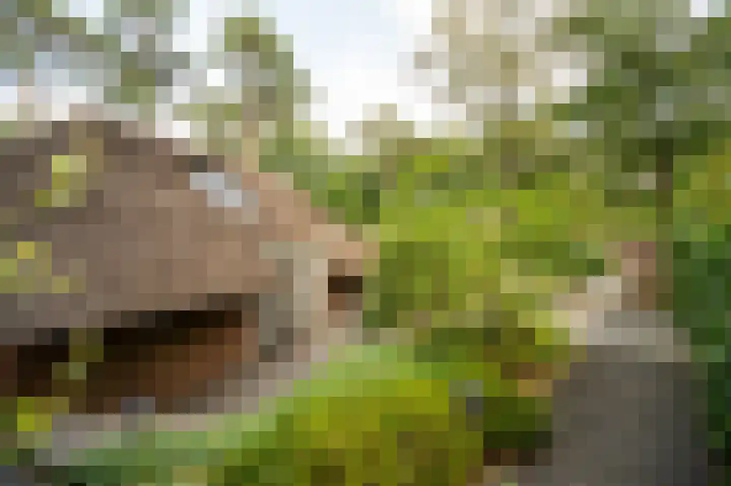 Hoorneweg 17 B 21 Putten thumbnail 4